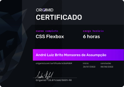 Flex Box Certificado